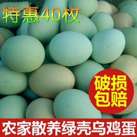 舌尖上的玉食 新鲜乌鸡蛋绿壳蛋30枚包邮破损包赔 20-60枚可选