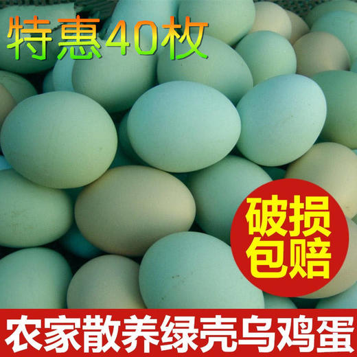 舌尖上的玉食 新鲜乌鸡蛋绿壳蛋30枚包邮破损包赔 20-60枚可选 商品图0