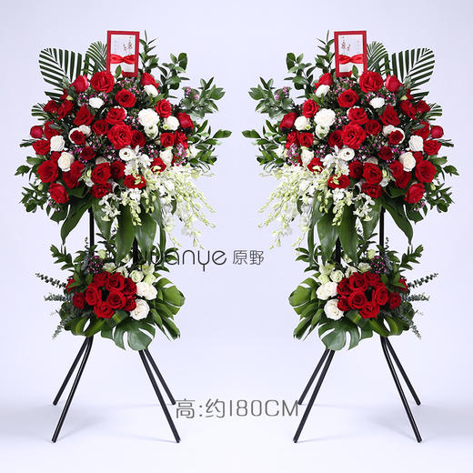 开业花篮（单个价格） 商品图0