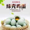 舌尖上的玉食 新鲜乌鸡蛋绿壳蛋30枚包邮破损包赔 20-60枚可选 商品缩略图6