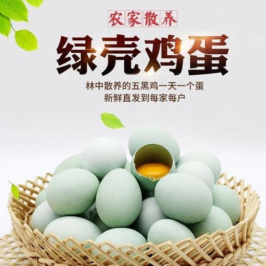 舌尖上的玉食 新鲜乌鸡蛋绿壳蛋30枚包邮破损包赔 20-60枚可选 商品图6