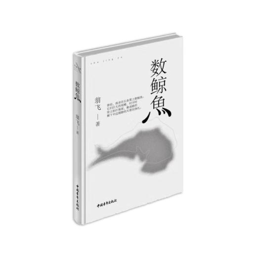 《数鲸鱼》翁飞著 商品图0