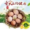 舌尖上的玉食 新鲜乌鸡蛋绿壳蛋30枚包邮破损包赔 20-60枚可选 商品缩略图9