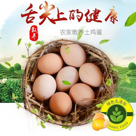 舌尖上的玉食 新鲜乌鸡蛋绿壳蛋30枚包邮破损包赔 20-60枚可选 商品图9