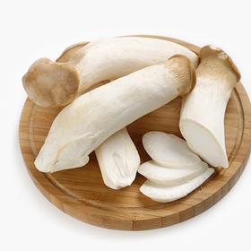 杏鲍菇500g±50g【团购价7.8元】