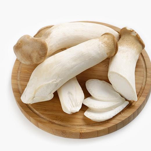 杏鲍菇500g±50g【团购价7.8元】 商品图0