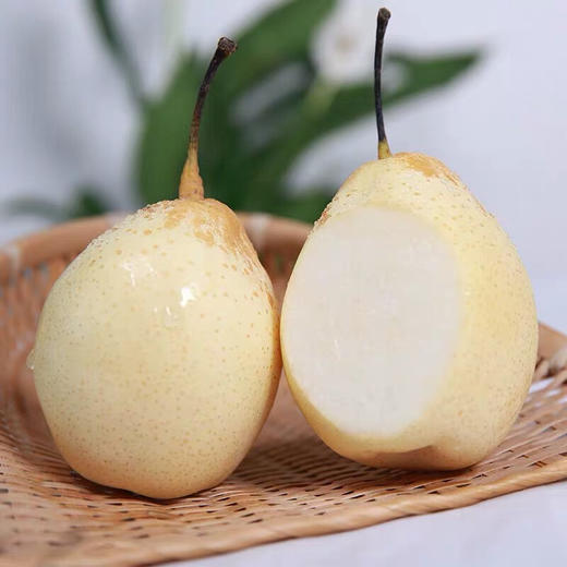 砀山梨酥梨贡梨 商品图4