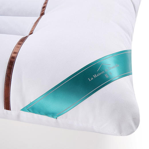 MZX-017 决明子草本枕 商品图3