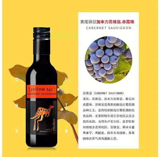 袋鼠红酒（红）/瓶  9322214007806  1*6 商品图1