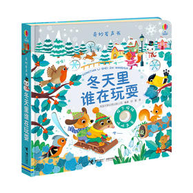 奇妙发声书 冬天里谁在玩耍