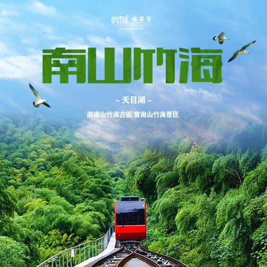 【家庭旅行】 4/12 4/19  暖心特惠 网红地轨 万亩竹海 如此美景 怎能错过  南山竹海一日//静观竹海美景，悠享古街生活，赏竹、品茶，在周末时光中静享人生~ 商品图0