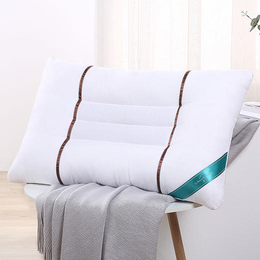 MZX-017 决明子草本枕 商品图0