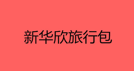 新华欣旅行包 商品图0