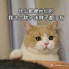 133 商品图0