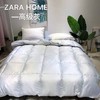 ABC-GY-190902新款羽绒被冬被 商品缩略图2