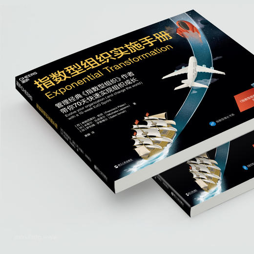 湛庐┃指数型组织实施手册 商品图3