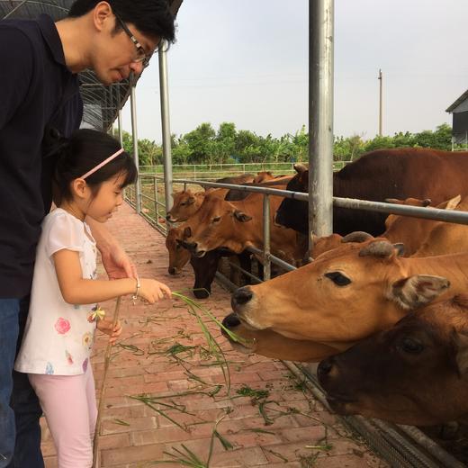 火龙果采摘活动 | 农园活动*Dragon fruit picking | Farm Activities 商品图2