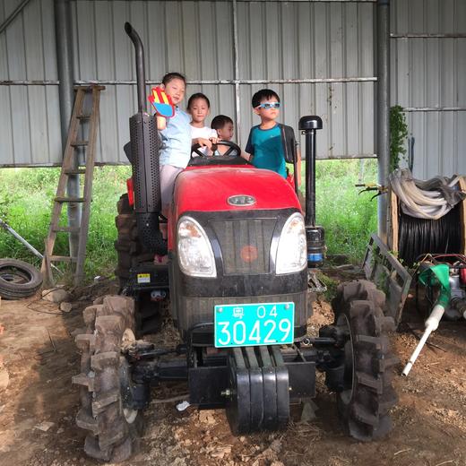 火龙果采摘活动 | 农园活动*Dragon fruit picking | Farm Activities 商品图4