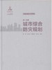 城市防灾规划丛书（全套及单本） 商品缩略图1
