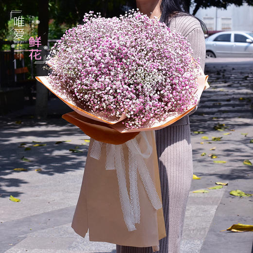 超大彩色满天星花束巨型鲜花速递同城深圳花店成都郑州重庆杭州送