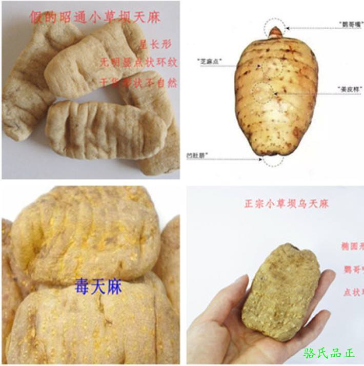 【骆】云南昭通块茎干天麻 特级 460元/500g包邮