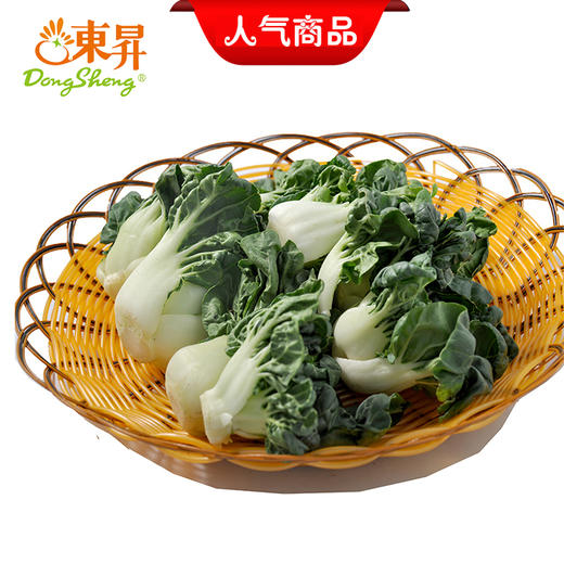 东升鹤斗白苗 矮脚奶白菜苗学斗白苗 华东专区新鲜蔬菜 300g 商品图0