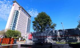 你看，阿胶街78号的花儿，都开成了爱你的模样 