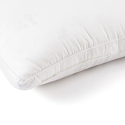 HBZX-010 玻尿酸美肤枕 商品图1