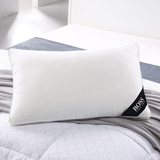 HBZX-010 玻尿酸美肤枕 商品图0