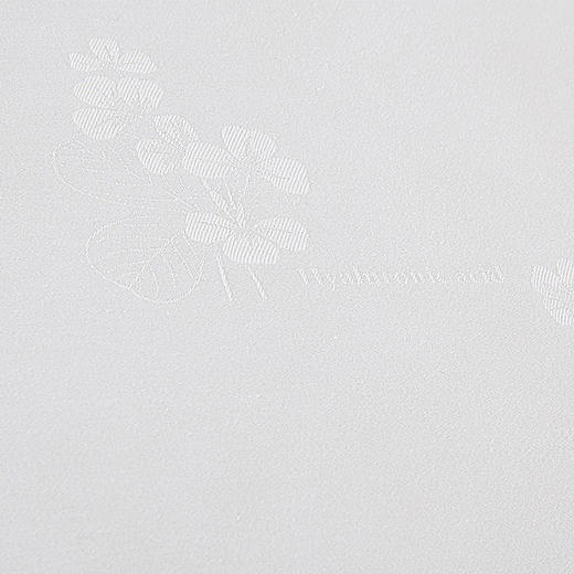 HBZX-010 玻尿酸美肤枕 商品图3