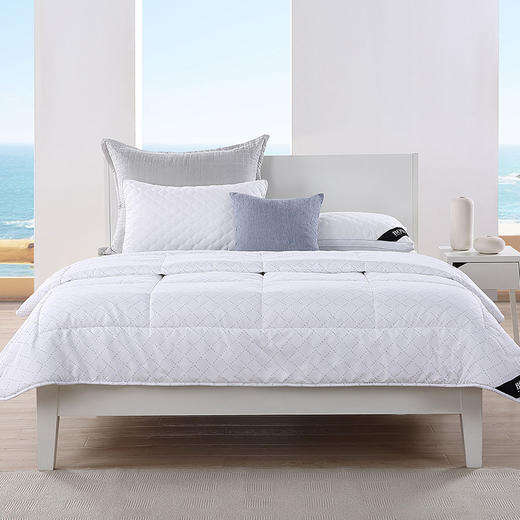 HBXW-032 抑菌纤维厚被 商品图1