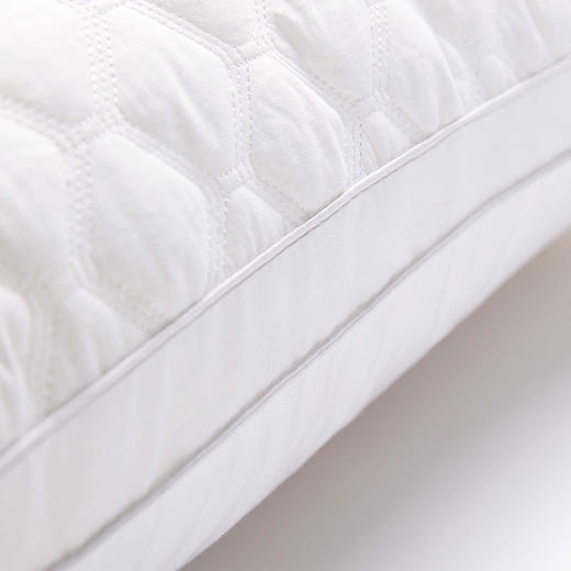 HBZX-011 全棉绗缝立体对枕 商品图3