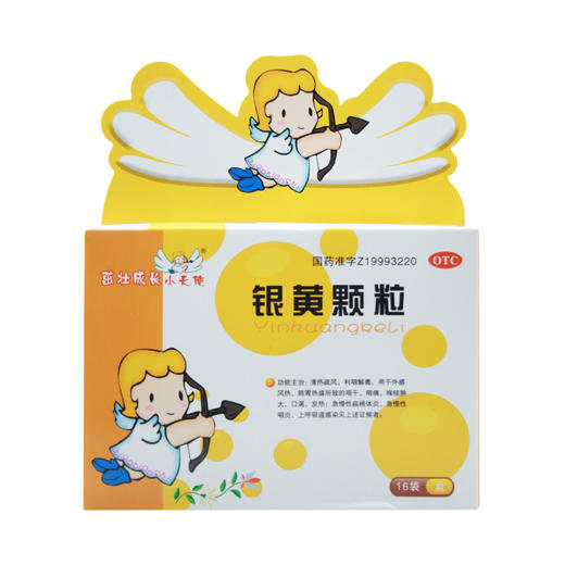 银黄颗粒 商品图0