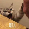 测试规格 商品缩略图0
