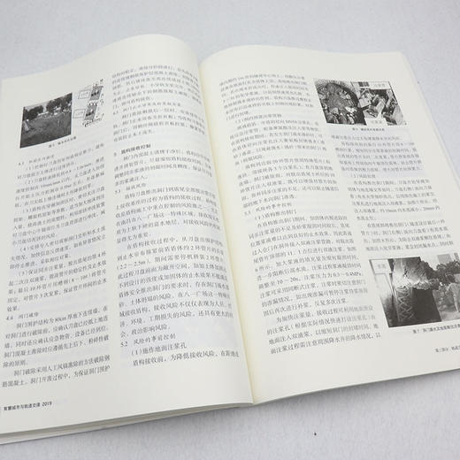 智慧城市与轨道交通2019 商品图4