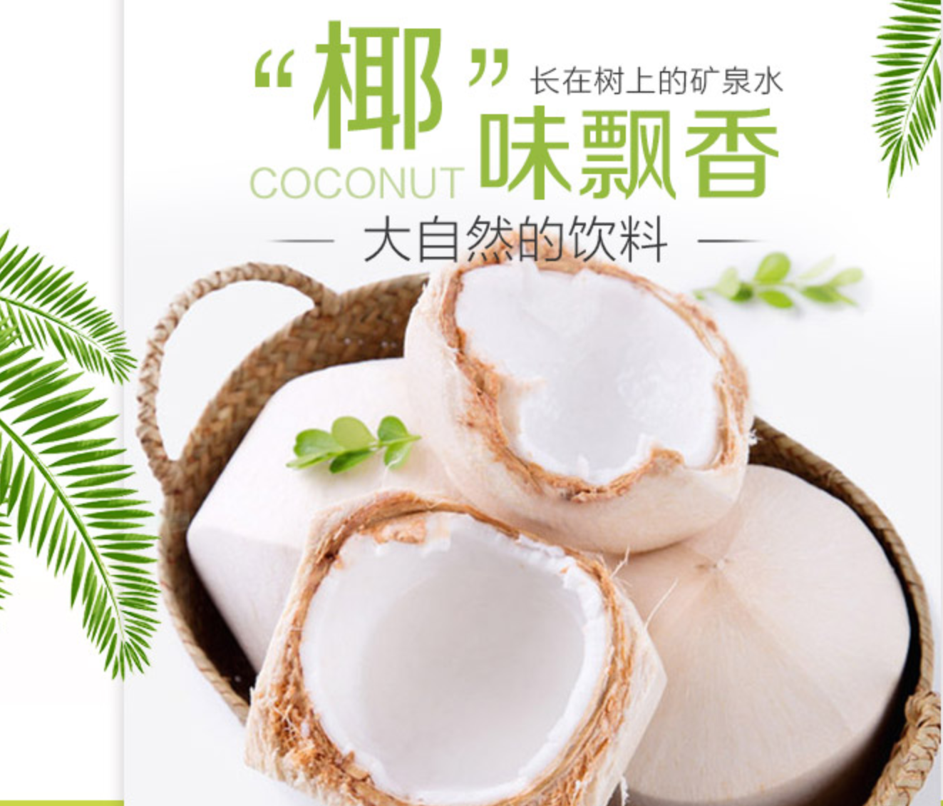 【预售】泰国香椰 椰青 椰子 椰汁 个头饱满 汁水香甜