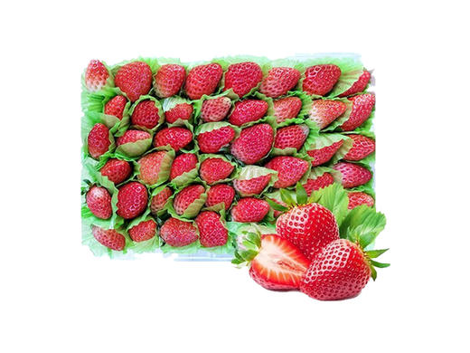 牛奶草莓 精品包装口感带微酸 商品图0