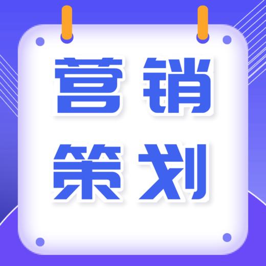 营销策划 商品图1