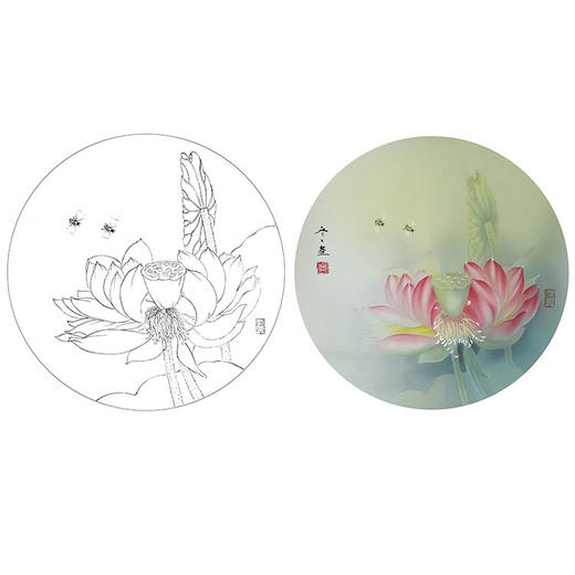 杨冬冬工笔花鸟白描底稿-荷花小品《羞妍》-多种白描尺寸可选-HD08 商品图0