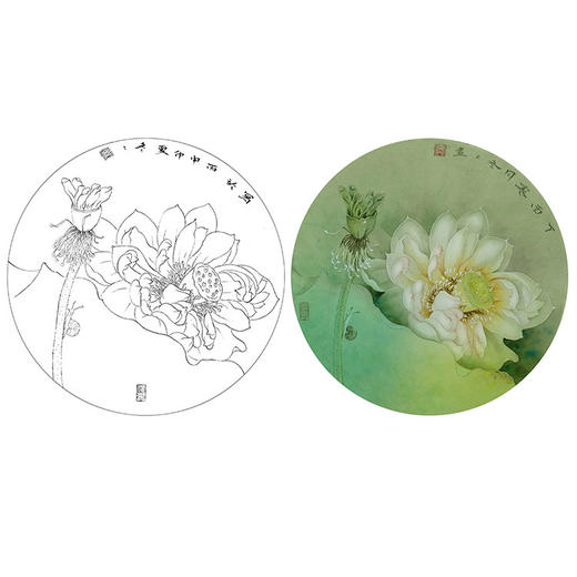 杨冬冬工笔花鸟白描底稿-荷花小品《灼华》-多种白描尺寸可选-HD06 商品图0