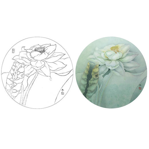 杨冬冬工笔花鸟白描底稿《曦雪》荷花小品-多种白描尺寸可选-HD05 商品图0