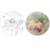杨冬冬工笔花鸟白描底稿-荷花小品《菁云》-多种白描尺寸可选-HD01 商品缩略图0