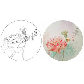 杨冬冬工笔花鸟白描底稿《清水芙蓉》荷花小品-多种白描尺寸可选-HD04