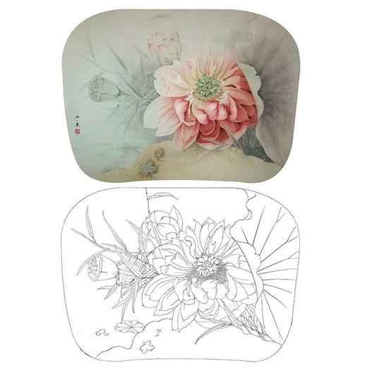 杨冬冬工笔花鸟白描底稿-荷花小品-暮云-HD10 商品图0