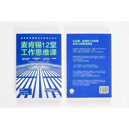麦肯锡12堂工作思维课 乔安娜巴斯 著 脸书首席运营官谢丽尔桑德伯格 前麦肯锡全球总裁鲍达民 推荐 中信出版图书 正版书籍 商品图6