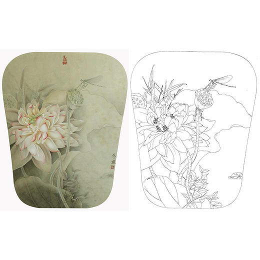 杨冬冬工笔花鸟白描底稿-荷花小品-HD16 商品图0