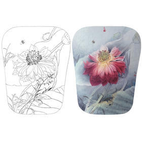 杨冬冬工笔花鸟白描底稿-荷花小品-HD14