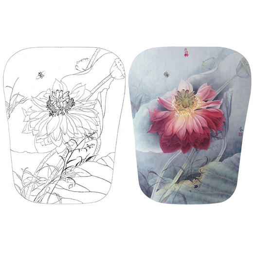 杨冬冬工笔花鸟白描底稿-荷花小品-HD14 商品图0