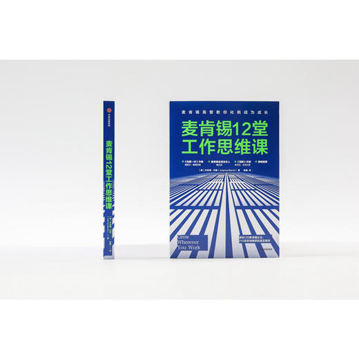 麦肯锡12堂工作思维课 乔安娜巴斯 著 脸书首席运营官谢丽尔桑德伯格 前麦肯锡全球总裁鲍达民 推荐 中信出版图书 正版书籍 商品图5