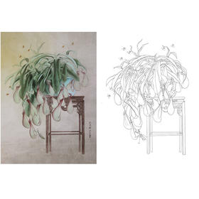 竖幅杨冬冬工笔花鸟白描底稿-HD61